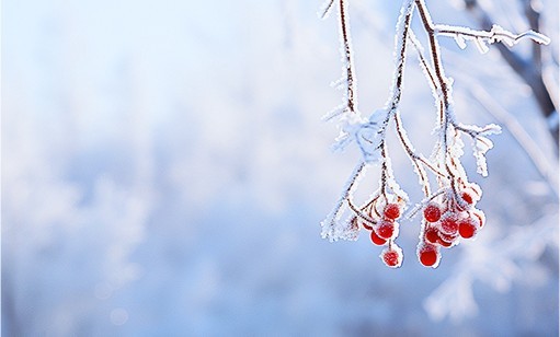 瑞雪兆丰年丨2024长沙初雪 旋乐吧spin8环保雪景图集