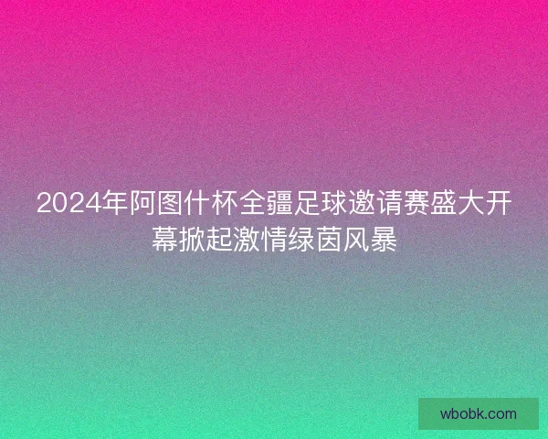 2024年阿图什杯全疆足球邀请赛盛大开幕掀起激情绿茵风暴